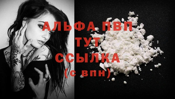 тгк Заводоуковск