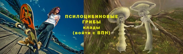 дурь Заволжск