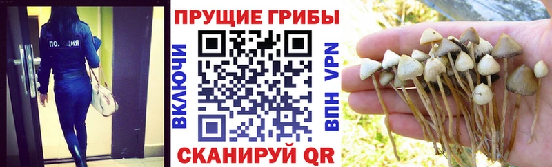 Купить  Верхняя Тура  Псилоцибиновые грибы мухоморы 